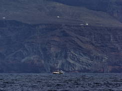 Walbeobachtung vor der imposanten Küste La Gomeras